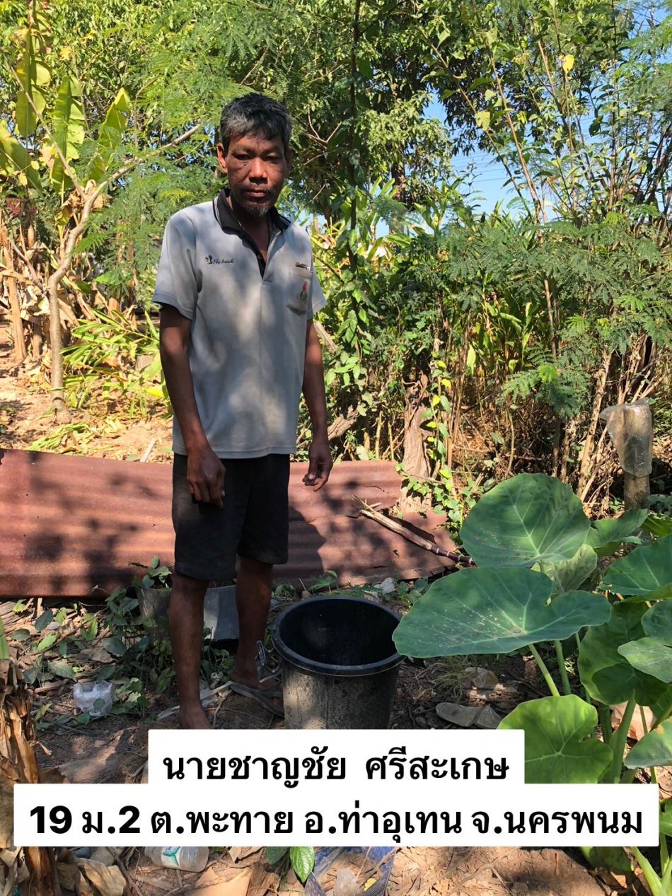 ภาพกิจกรรมโครงการถังขยะเปียกลดโลกร้อน