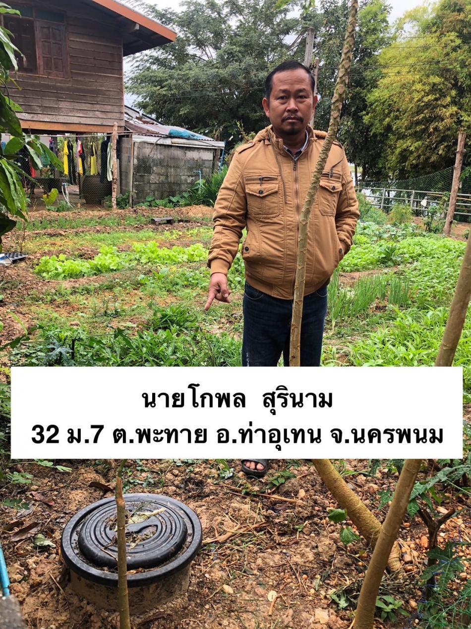 ภาพกิจกรรมโครงการถังขยะเปียกลดโลกร้อน